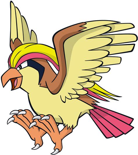 pidgeot nature.